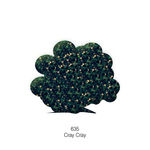 Buy Stay Quirky Nail Polish, Glitter, Green - Cray Cray 635 (10 ml) - Purplle