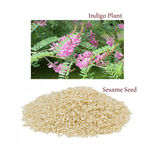 Buy BodyHerbals Ancient Ayurveda Neelibringadi Hair Oil (200 ml) - Purplle