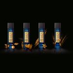Buy AXE Signature Gold Italian Bergamot & Amber Wood Perfume (80 ml) - Purplle