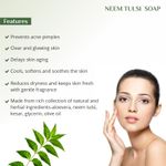 Buy Globus Naturals Neem Tulsi Soap Enriched With Aloevera Kesar Sandalwood 75 gm (Pack Of 3) - Purplle