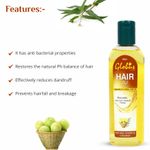 Buy Globus Anti- Hair Fall & Anti-Dandruff Hair Oil 100 ml (Pack Of 4) - Purplle