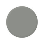 Buy Stay Quirky Nail Polish, Matte Finish, Grey - Matte-lina 1066 (6 ml) - Purplle