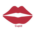 Buy Color Fever Creme Lipstick Cupid (4.2 g) - Purplle
