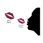 Buy OTG Rich Creme Matt Lipstick Rose Wine (Pack of 2) (8.4 g) - Purplle
