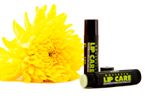 Buy Matra Kiwi Lip Balm (4.5 g) - Purplle