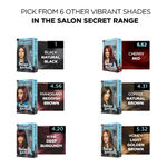 Buy BBLUNT Salon Secret High Shine Creme Hair Colour - Chocolate Dark Brown 3. No Ammonia (100 g) - Purplle