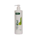Buy SSCPL Herbals Mint Toner (1000 ml) - Purplle