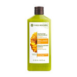 Buy Yves Rocher Vitality & Radiance Shampoo (300 ml) - Purplle