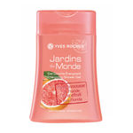 Buy Yves Rocher Jardins Du Monde Energizing Shower Gel Grapefruit From Florida Bottle (200 ml) - Purplle