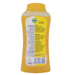 Buy Dettol Germ Protection Body Wash, Fresh (Shower Gel) (250 ml) - Purplle