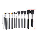 Buy Puna Store 15 Piece Makeup Brush Set - with Black Leather Case - Purplle