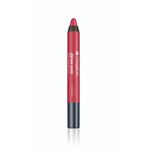 Buy Chambor Extreme Matte Long Wear Lip Colour, Aztek Brick No.04 - Purplle