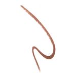 Buy Chambor Extreme Matte Long Wear Lip Colour, Saddle Brown No.10 - Purplle