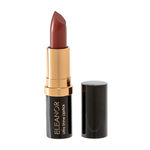 Buy Eleanor Ultra Shine Lipstick L05 Raisin (3.4 g) - Purplle