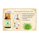 Buy St.Botanica Lemongrass Pure Aroma Essential Oil (10 ml) - Purplle