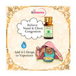 Buy St.Botanica Lemongrass Pure Aroma Essential Oil (10 ml) - Purplle