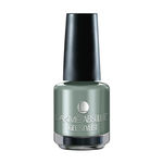 Buy Lakme Absolute Gel Stylist Nail Color Jade Floret (15 ml) - Purplle