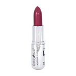 Buy Color Fever Lip Bomb Creme Lipstick Burgundy Shine (4.2 g) - Purplle