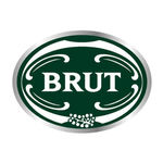 Buy Brut Edt Original Plexi Box Silver Edition 100 ml - Purplle