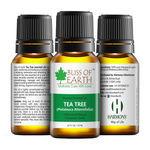 Buy Bliss Of Earth Premium Tea Tree (Melaleuca Alternifolia) (10 ml) - Purplle