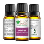 Buy Bliss Of Earth Premium Lavender (Lavandula Angustifobia) Essential Oil (10 ml) - Purplle