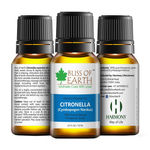 Buy Bliss Of Earth Premium Citronella (Cymbopogon Nardus) Essential Oil (10 ml) - Purplle
