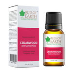 Buy Bliss Of Earth Premium Cederwood (Cedrus Atlantica) Essential Oil (10 ml) - Purplle