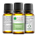 Buy Bliss Of Earth Premium Peppermint (Mentha Piperetta) Essential Oil (10 ml) - Purplle