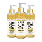 Buy St.Botanica Hair Vital Oil (With Olive, Castor, Almond, Jojoba, Rosemary, Tea Tree) (100 ml) x3 Bottles - Purplle