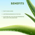 Buy Jovees Herbal Aloe Vera Moisturising Lotion |With Sandal And Peach Extract |Nourishes, Heals and Hydrates Skin | For Oily & Sensitive Skin 200ml - Purplle