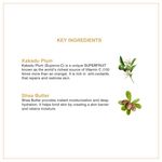 Buy Coccoon Hydrating Night Serum with Kakadu Plum (Vitamin C), Shea Butter and Vitamins (30 g) - Purplle