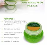 Buy Globus Aloe Vera & Neem Face Gel 100 gms (Pack of 4) - Purplle