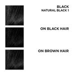 Buy BBLUNT Salon Secret High Shine Creme Hair Colour Natural Black 1 (100 g) With Shine Tonic (8 ml) - Purplle
