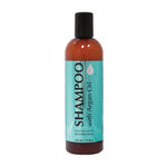 Buy Delon Argan Oil Shampoo (354 ml) - Purplle