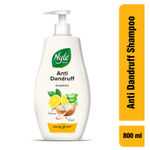 Buy Nyle Naturals Anti-Dandruff Shampoo, With Curd, Lemon and Aloe Vera, Gentle & Soft,pH Balanced and Paraben Free, For Men & Women, 800ml - Purplle