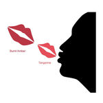 Buy Bonjour Paris Super Matt Lip Color Bunt Amber / Tangerine, 0.40 Ounce (Pack of 2) - Purplle