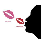 Buy Bonjour Paris Super Matt Lip Color Rose Blush / Passion Red, 0.40 Ounce (Pack of 2) - Purplle