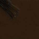 Buy Colorbar Colorbar Luxe Nail Lacquer Chocolate Tan -[148] - Purplle