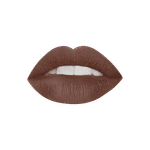 Buy Colorbar Matte Touch Lipstick Irish Wood (4.2g) - Purplle