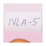 Buy Nails&More NLA-5 12 Glitter Set - Purplle