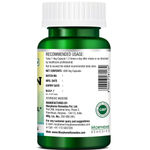 Buy Morpheme Bittermelon (Karela) 500mg Extract 60 Veg Caps - Purplle