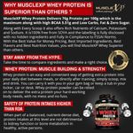 Buy MuscleXP 100% Whey Protein (New WHEY Gold Standards) - 2Kg (4.4 lbs), Double Chocolate - Purplle