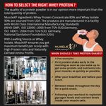 Buy MuscleXP 100% Whey Protein (New WHEY Gold Standards) - 2Kg (4.4 lbs), Double Chocolate - Purplle
