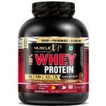 Buy MuscleXP 100% Whey Protein (New WHEY Gold Standards) - 2Kg (4.4 lbs), Double Chocolate - Purplle