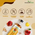Buy NourishVitals Apple Cider Vinegar with Ginger, Garlic, Lemon and Honey 500ml - Purplle
