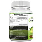 Buy St.Botanica Garcinia Cambogia Extract - 90 Veg Caps (500 g) - Purplle