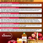 Buy St.Botanica Apple Cider Vinegar With Honey (500 ml) - Purplle
