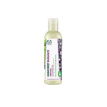 Buy The Body Shop Rainforest Radiance Conditioner (250 ml) - Purplle