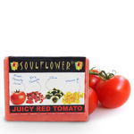 Buy Soulflower Soap Juicy Red Tomato (150 g) - Purplle