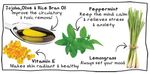 Buy Soulflower Lemongrass Peppermint Refreshing Aroma Massage Oil (90 ml) - Purplle